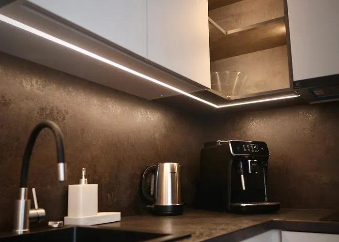 в старой риге рядом с рекой даугава 리가